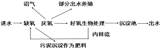 養(yǎng)豬場處理流程